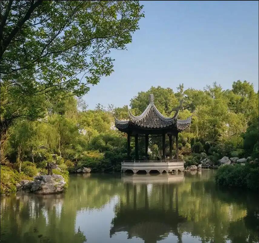 芦淞区凌乱餐饮有限公司